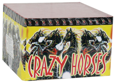 CRAZY HORSES